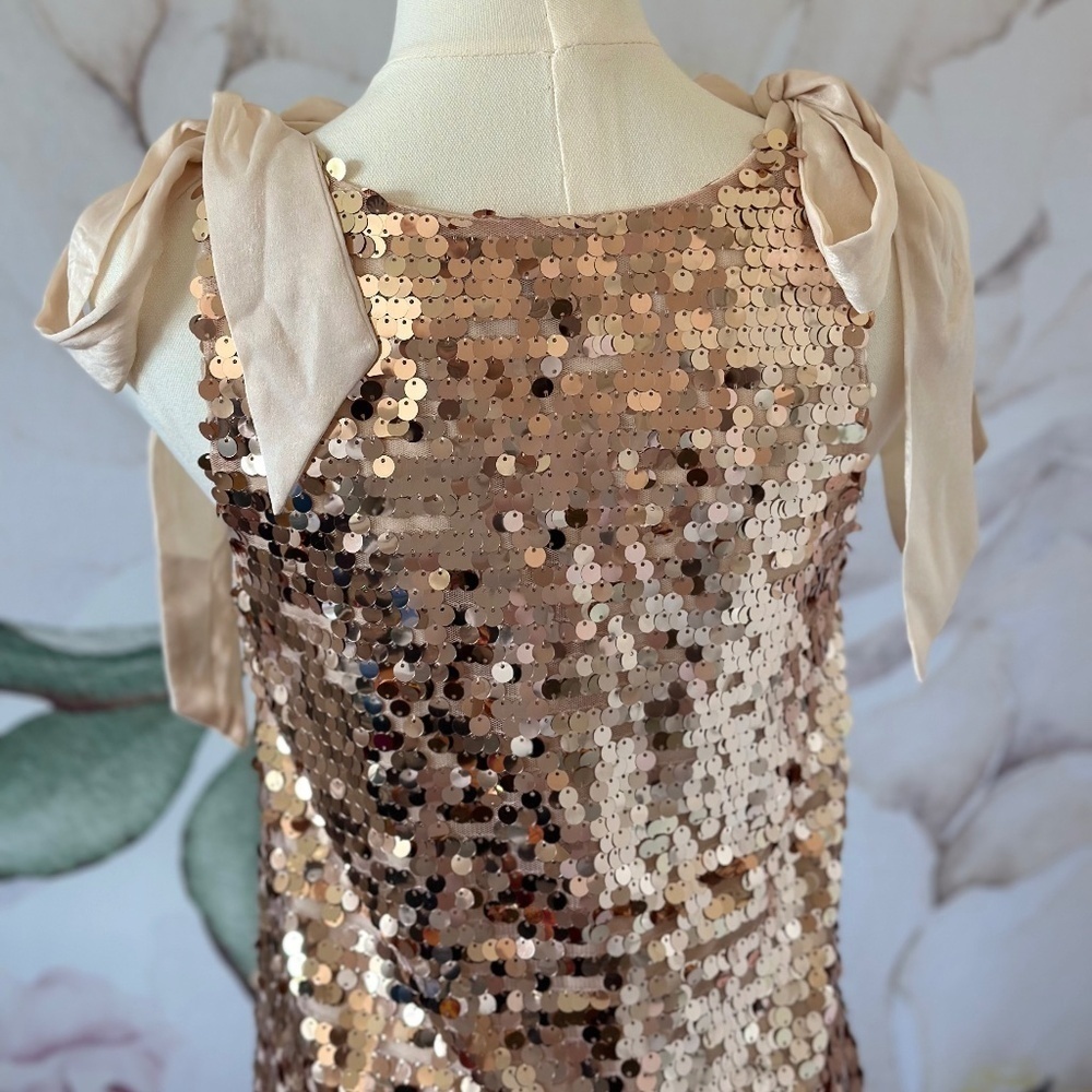 Red Dress Boutique Champagne Sequin Mini Women's Dress Size XS - Picture 7 of 15